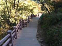-香山公园