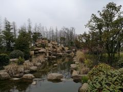 -上海长兴岛郊野公园