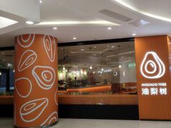 -油梨树 AVOCADO TREE(亮马桥店)