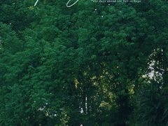 -广西壮族自治区药用植物园