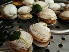 -海大大蒸汽海鲜餐厅·粤菜·特色小炒(欢乐颂店)