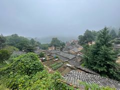 -杨家堂村