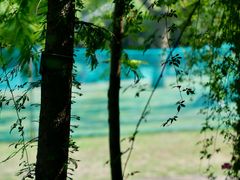 -苏州上方山国家森林公园