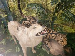 -下渚湖国家湿地公园科普馆