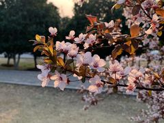 -钟山体育运动公园