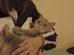-萌喵咖啡屋(人民东路4号口M16商铺店)