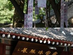 -西安大兴善寺