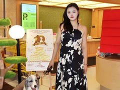 -帕帕拉兹宠物(亚洲旗舰店)