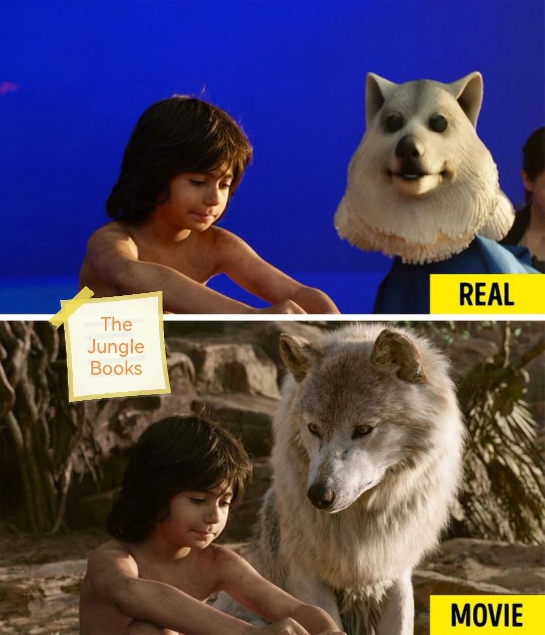 你以为的电影世界是什么样的?请认真看完