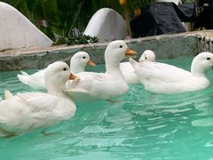 -HERRE·FARM 赫尔露营农场·团建聚会包场