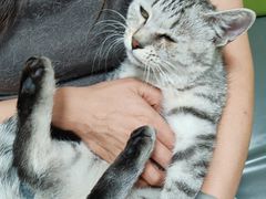 -北京观赏动物医院·24小时大型综合·猫专科·异宠专科