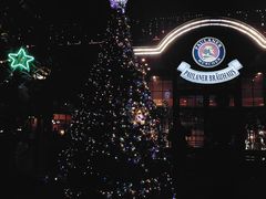 -宝莱纳啤酒花园餐厅PAULANER BRAUHAUS Nanjing(广州路店)