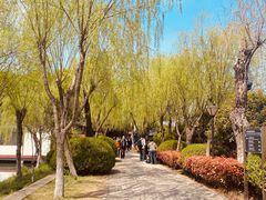 -沙家浜风景区