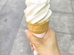 -麦当劳(石家庄北国店)