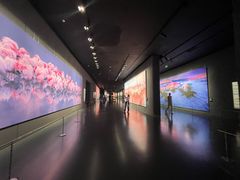 -罗红摄影艺术馆