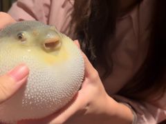 -肆月河豚·淮扬菜·湘菜(华天店)