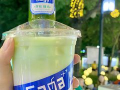 -凤城·食都