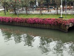 -深圳湾公园(南山区)