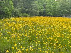 -昆山城市生态森林公园