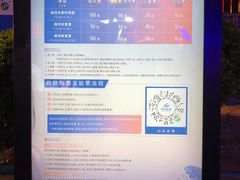 -海河游船-永乐码头(大悲院)