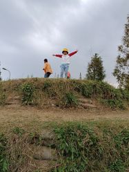 -前小桔亲子创意农场·草莓采摘·露营烧烤