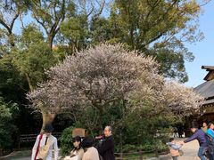 -热田神宫