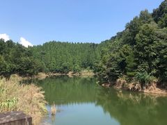 -千岛湖龙川湾