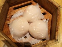-美食小镇·观赏珍稀鸟类·长隆熊猫酒店