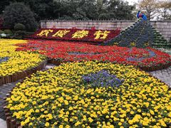 -光明港公园