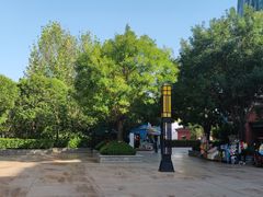 -郑州方特梦幻王国