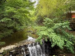 -庐山风景名胜区-黄龙潭