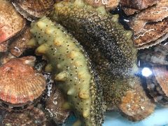 -渔码头食府(蓬莱阁店)