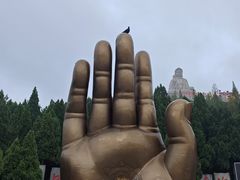 -龙口南山旅游景区
