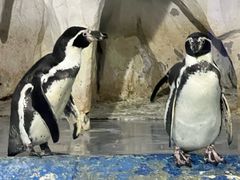 -太平洋海底世界