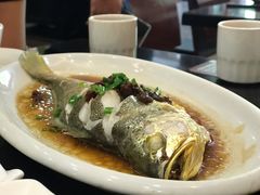 豆鼓蒸黄花鱼-明记炖品世家(丰泽店)