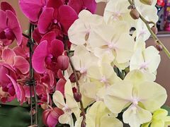 -湖南码头·地道湘菜(魏公村店)