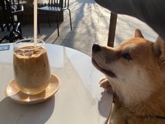 -BUND·FIVE外滩5号(天际店)