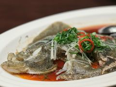 清蒸多宝鱼-中山保利艾美酒店-乐美中餐厅