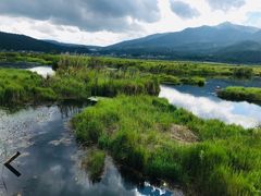 -腾冲北海湿地