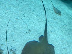 -珠海长隆海洋王国