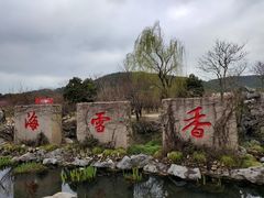 -香雪海