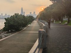 -深圳湾公园(南山区)