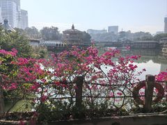 -观澜山水田园