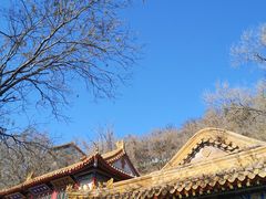 -高尔山公园