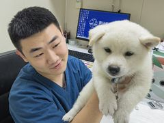 -芭比堂动物医院·24小时·眼科中心(深圳中心)