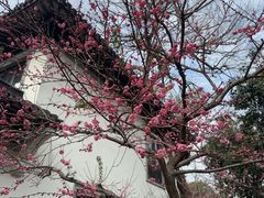 -杭州西湖柳莺里酒店