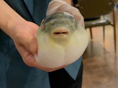 -肆月河豚·新淮扬(金融街店)