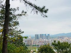 -分塔山省级森林公园