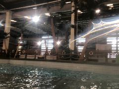 -南宫温泉水世界