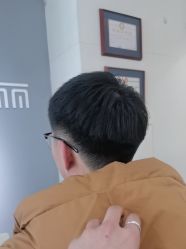 -爱维丽
